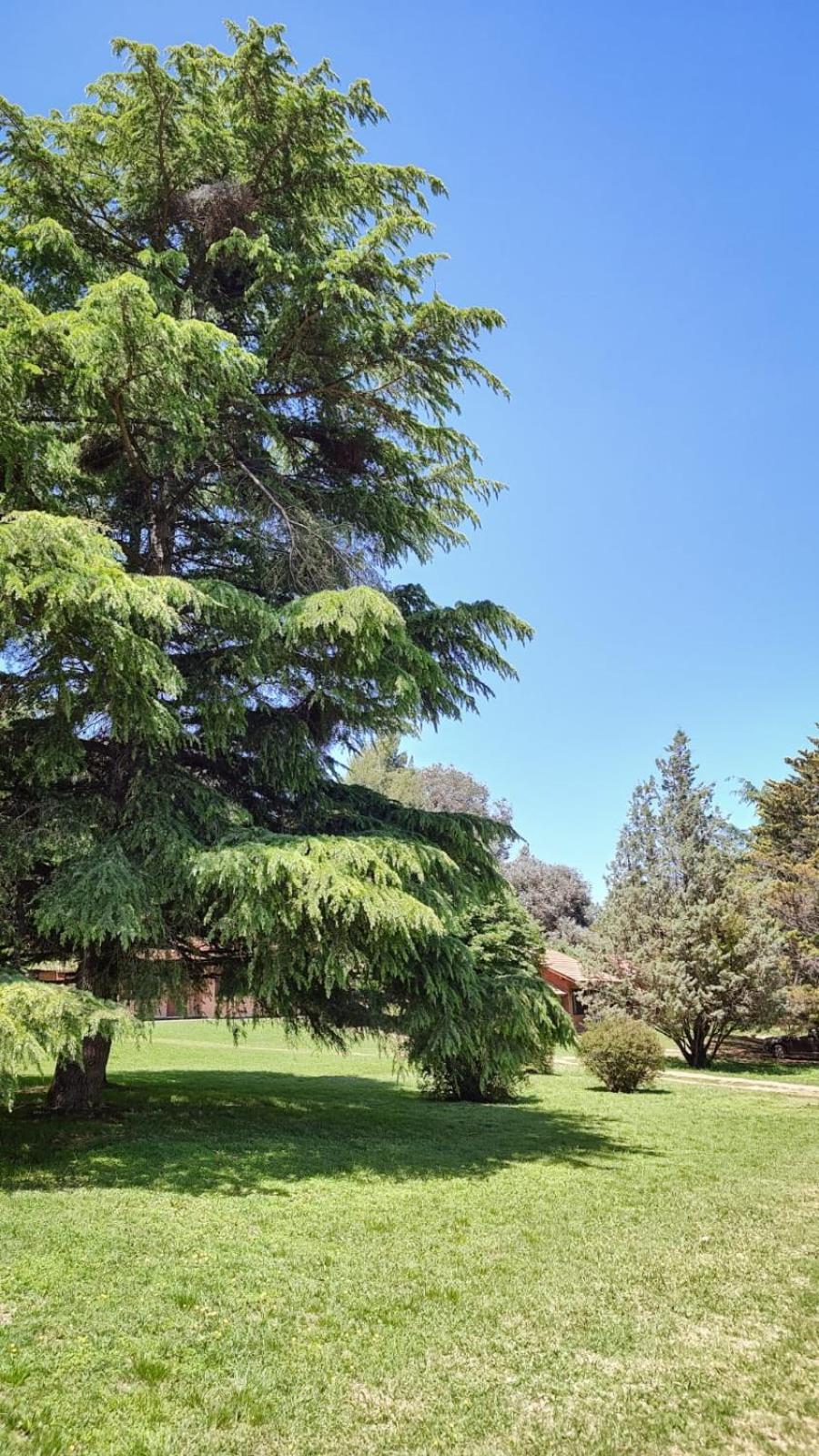 Green House Villa General Belgrano Bagian luar foto